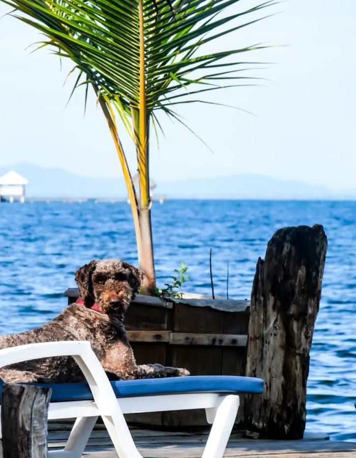Barrbra Bnb Over The Sea Bocas Town Dış mekan fotoğraf